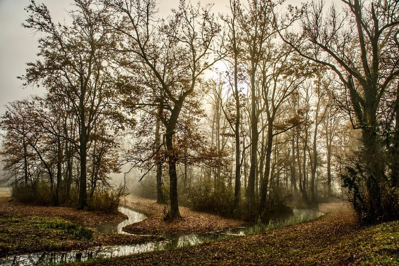 Whimsical Pathway